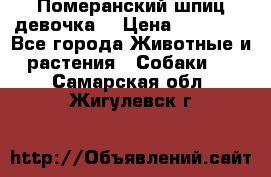 Померанский шпиц девочка  › Цена ­ 50 000 - Все города Животные и растения » Собаки   . Самарская обл.,Жигулевск г.